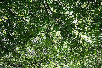 《华纳大乱斗》Stripe实机演示 角色现已加入战斗